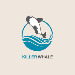 killer whale icon vector