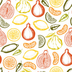 Citrus seamless pattern Royalty Free Vector Image
