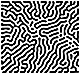 black and white turing pattern with abstract lines vector image