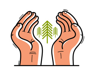 Two hands with pine trees protecting and showing vector