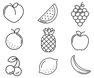 fruits simple drawing exoctic and fresh vector