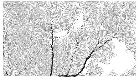 growth pattern generative branching structure vector image