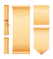 Papyrus scroll set parchment paper with old vector