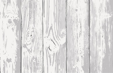 Rustic Wooden Planks Texture Vector Image
