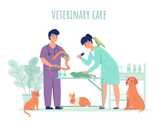 vet doctor with animals veterinarians work vector