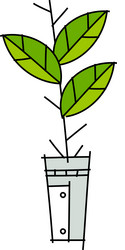 Icon plant vector