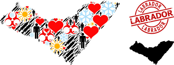 textured labrador stamp seal and frost customers Vector Image