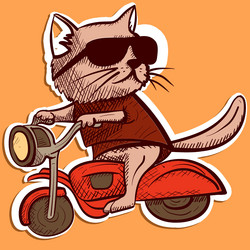 digital art of a cool cat with sunglasses riding vector