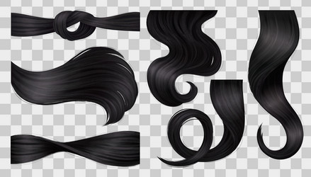 Black Hair PNG Image, Vector Black Hair, Vector, Black, Hair PNG