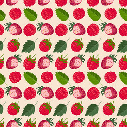 Seamless pattern with raspberry strawberry vector