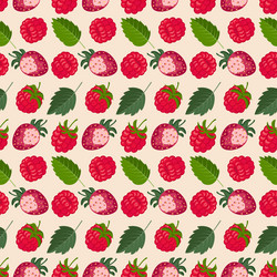 Seamless pattern with raspberry strawberry vector