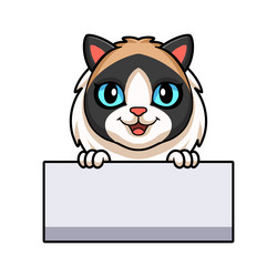 cute rag doll cat cartoon holding blank sign vector