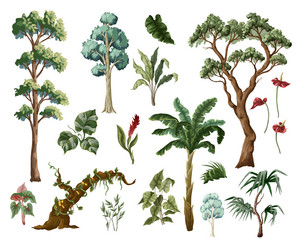 jungle trees and tropical plant isolated