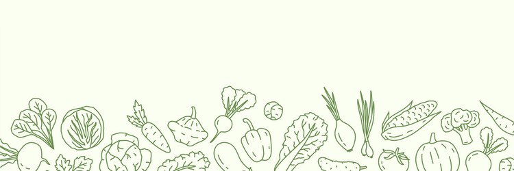 Horizontal background with various vegetables vector