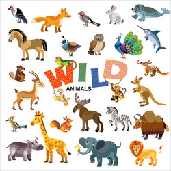 Zoo animals set Royalty Free Vector Image - VectorStock