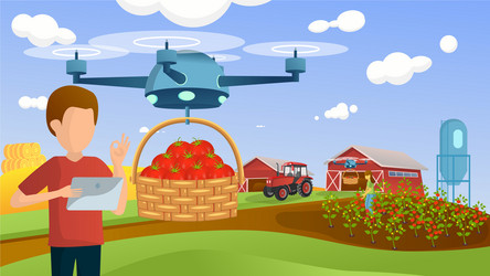 man with a tablet controls drone on smart farm vector