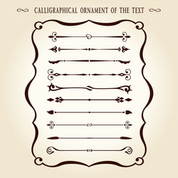 calligraphic ornament elements vintage text vector