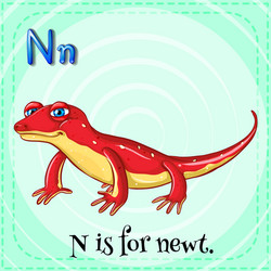 letter n Vector Image