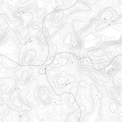 seamless pattern topographic map background vector image