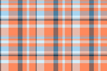 string background check texture latin pattern vector image