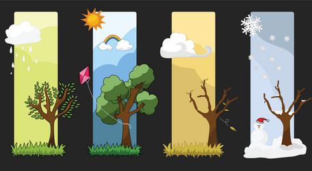 Four seasons in one tree Royalty Free Vector Image