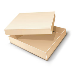 Empty Cardboard Box Vector Image
