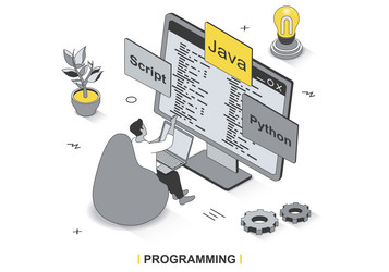 3D Isometric Programming Scene vector image