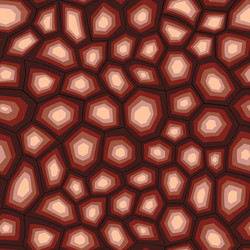 abstract modern turtle shell seamless pattern vector image