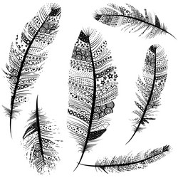 Feather seamless background Royalty Free Vector Image