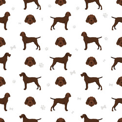 Pudelpointer seamless pattern different poses vector