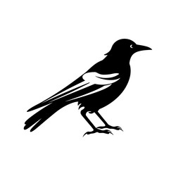 magpie bird silhouette of simple minimal Vector Image