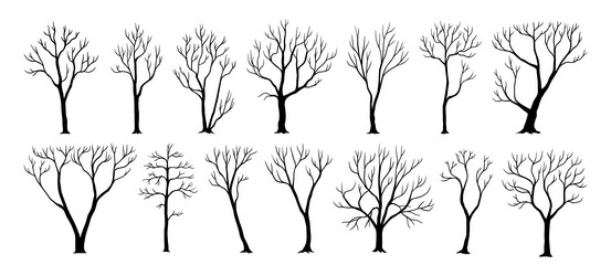 Bare Tree Silhouettes Vector Image