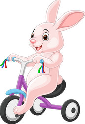 Cute Rabbit Riding Bicycle vector image