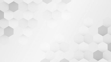 white and gray hexagon pattern background vector image