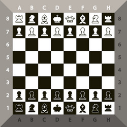 top view chessboard chess game vector image