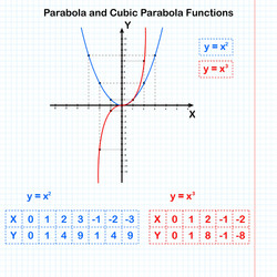 Functions of quadratic and cubic parabolas vector