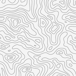 Topographic Pattern - Line Art vector image