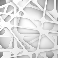 Abstract White Net Pattern vector image