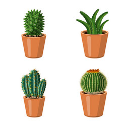 Isolated object of cactus and pot logo collection vector