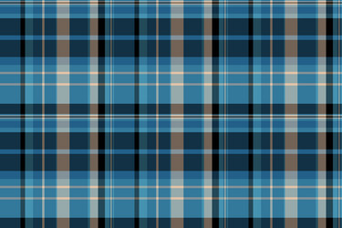 tidy background check fluffy plaid fabric vector image