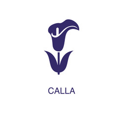 Calla element in flat simple style on white vector