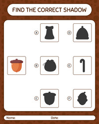 Find the correct shadows game with acorn vector