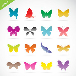 group of colorful butterfly vector image