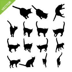 Cat Silhouettes Collection Vector Image