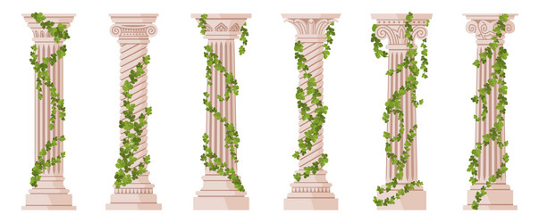 ivy columns marble architectural elements covered vector image
