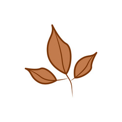 Three branch brown leaf cartoon autumn theme vector