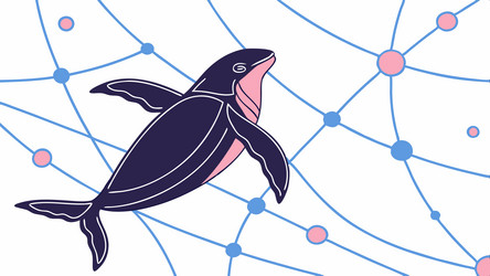 abstract orca whale with digital network vector image