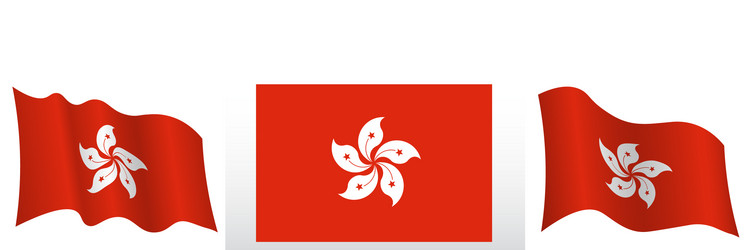 flag hong kong in static position vector