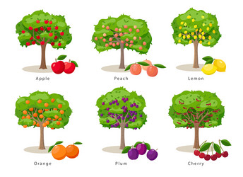 Fruit trees set in flat cartoon vector