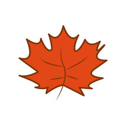 Orange maple dry leaf autumn theme cartoon design vector